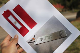 廣告策劃與設計在校園文化產品開發中的創新應用與網絡技術服務的協同價值