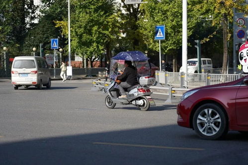 寶興縣規范電動三輪與四輪車管理 上路需持證上牌，強化生產源頭治理